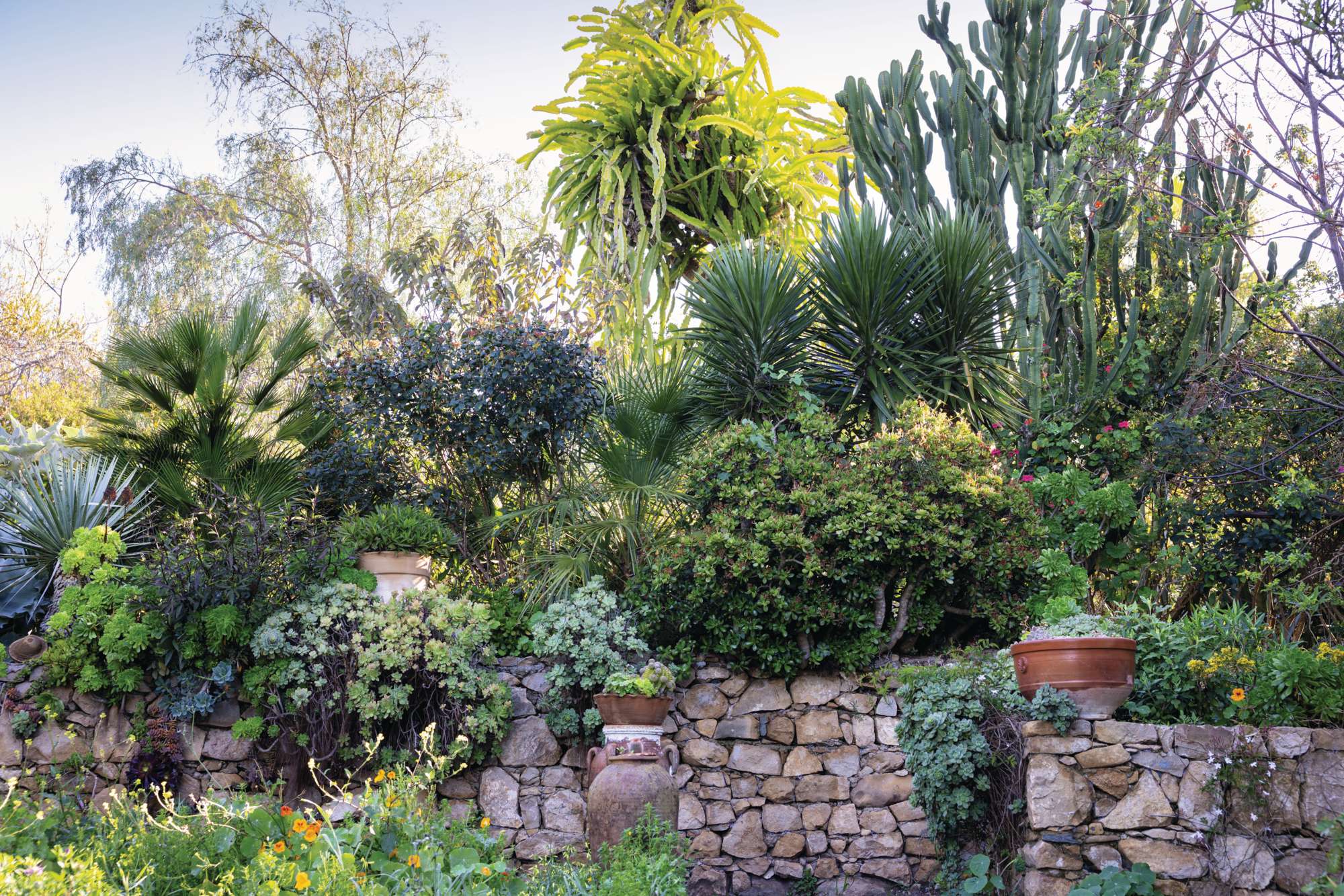Rohuna gardens Morocco