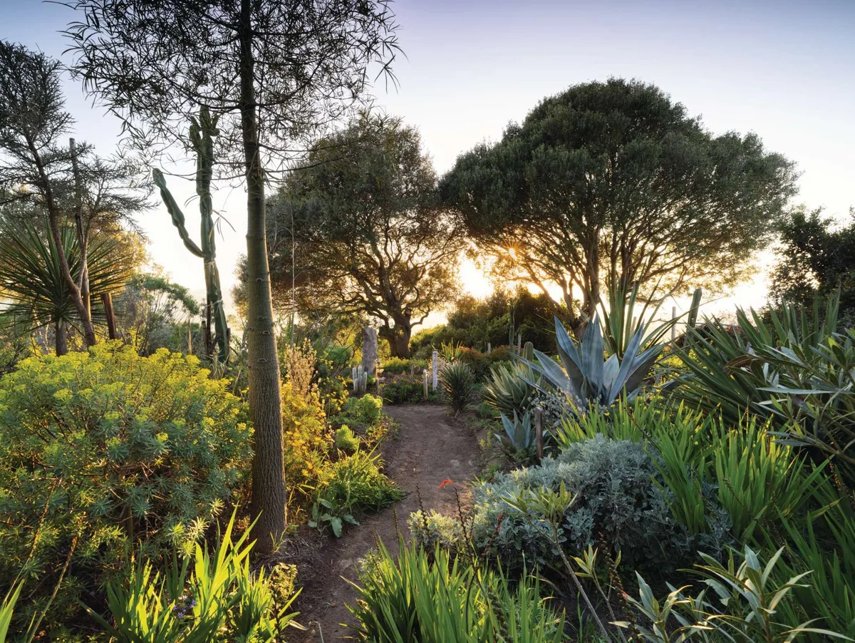 RBD280325_787_preview Rohuna gardens in Morocco