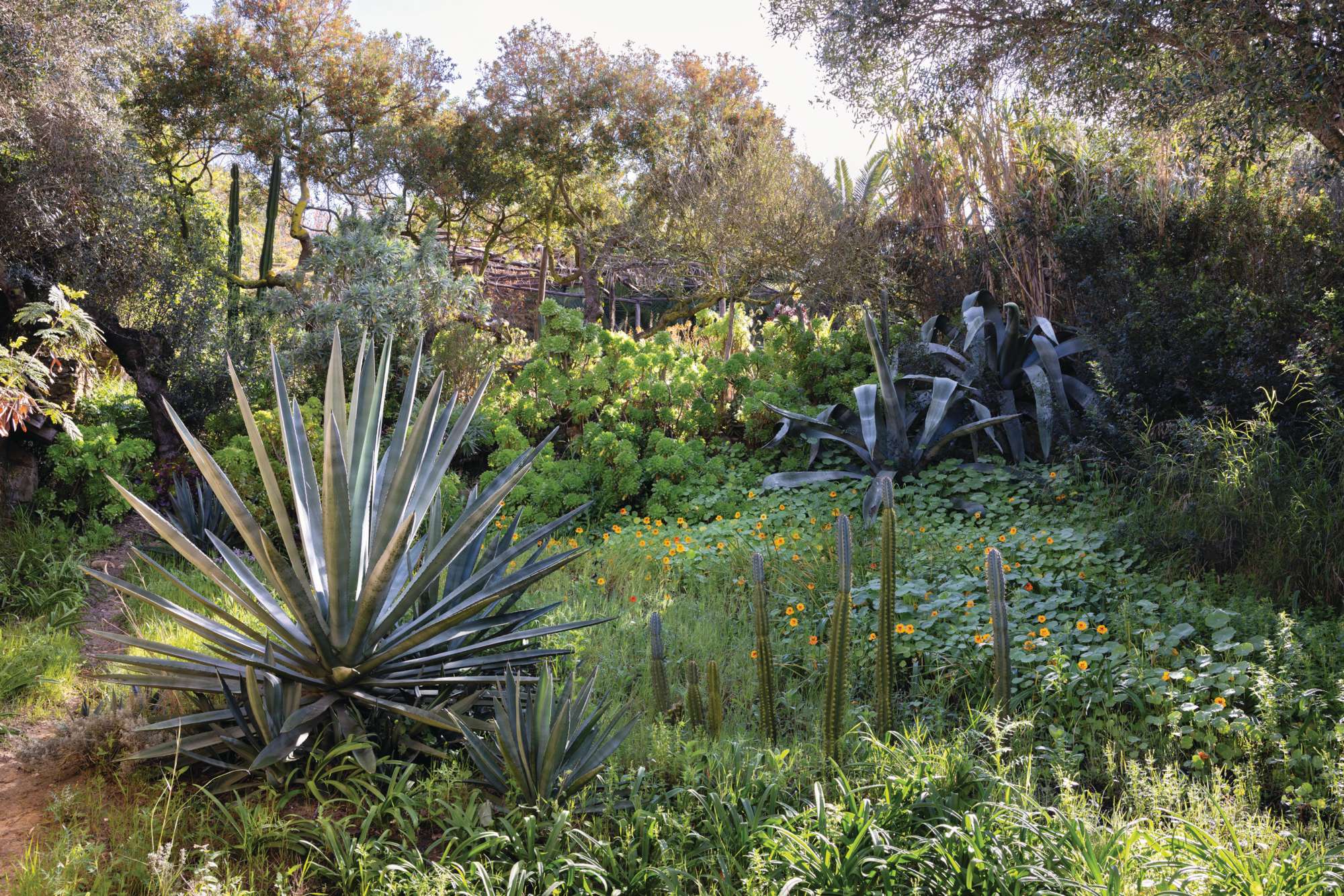 Rohuna gardens Morocco