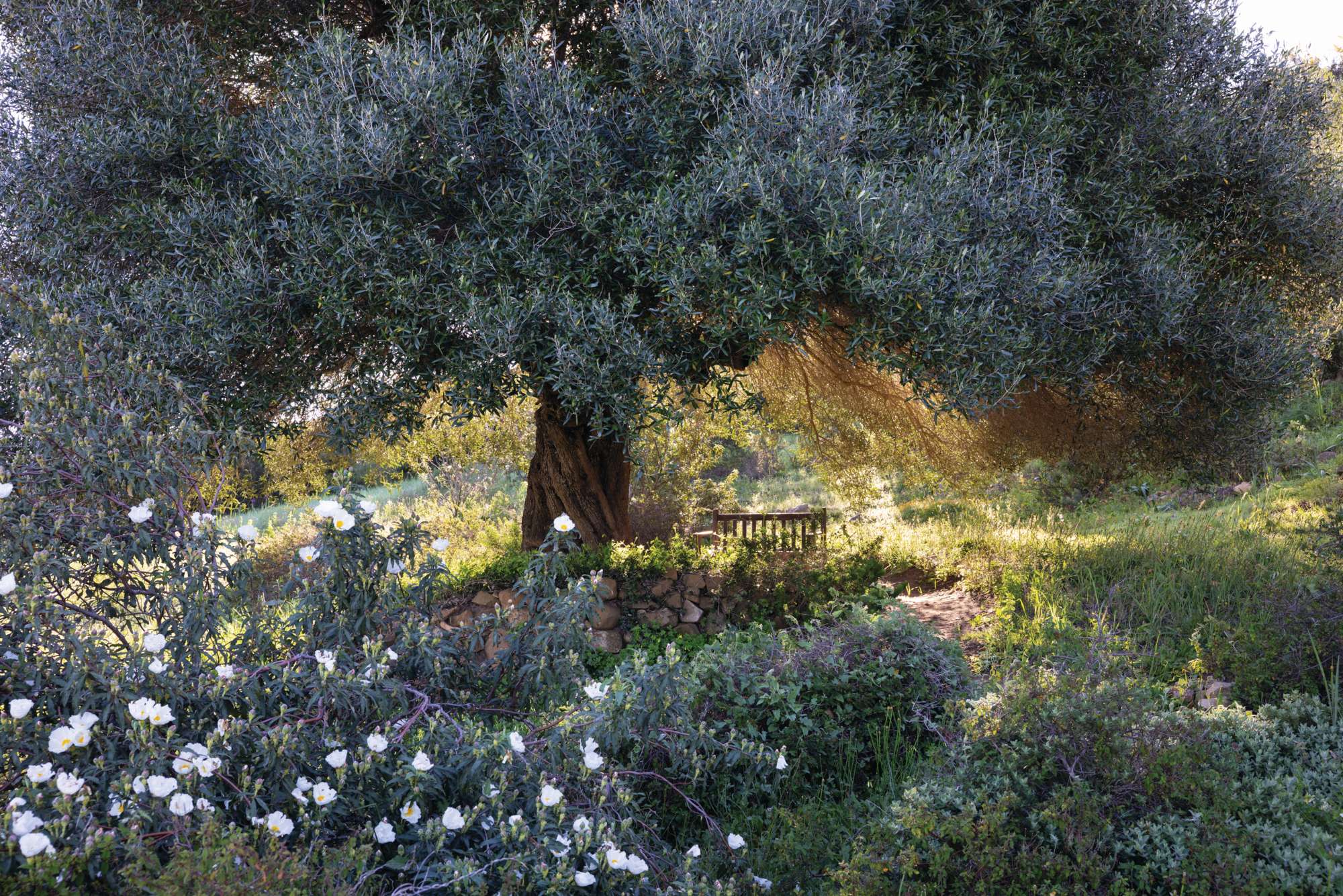 Rohuna gardens Morocco