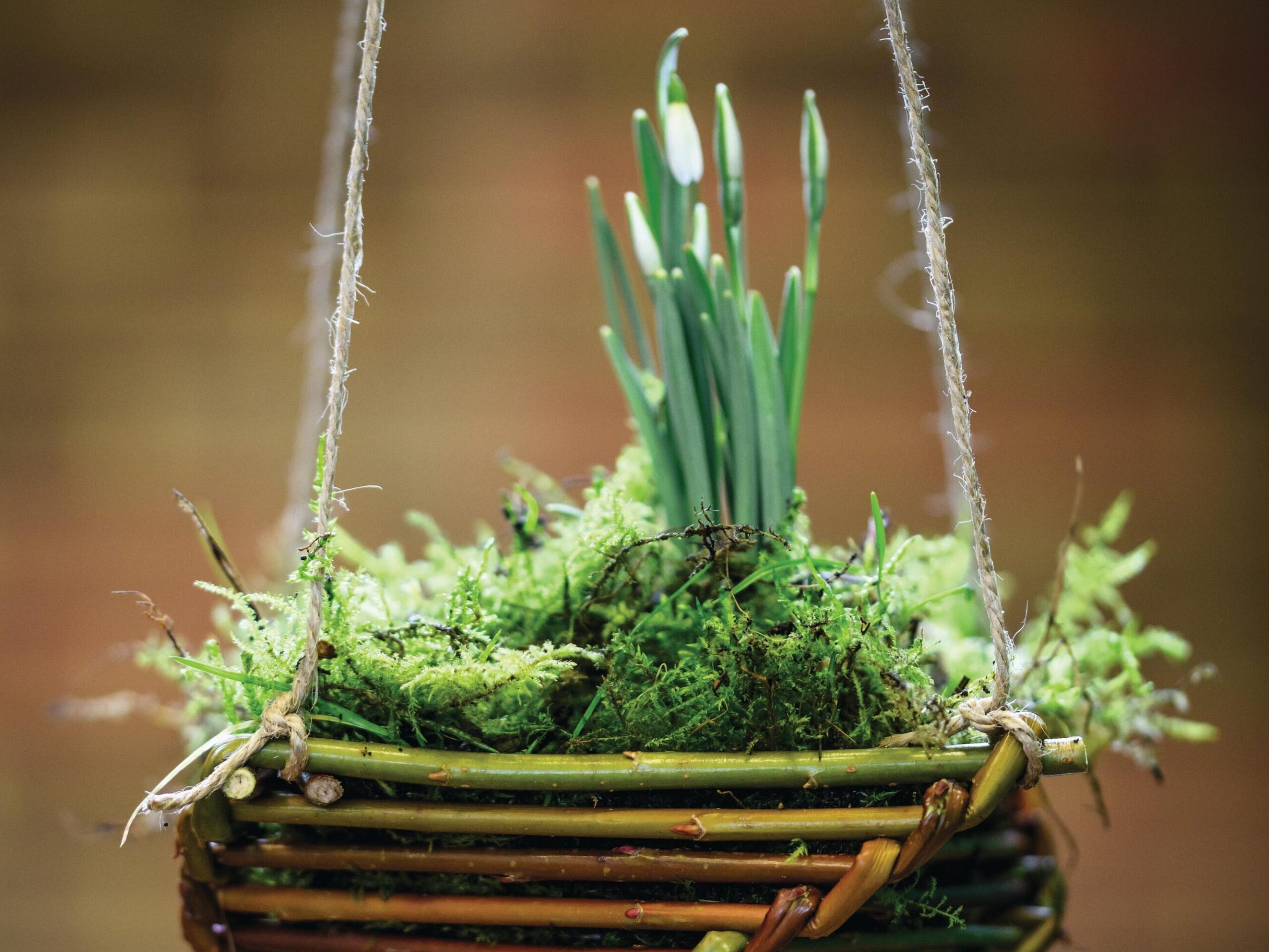 Willow weaving at Shepton Mallet Snowdrop Festival