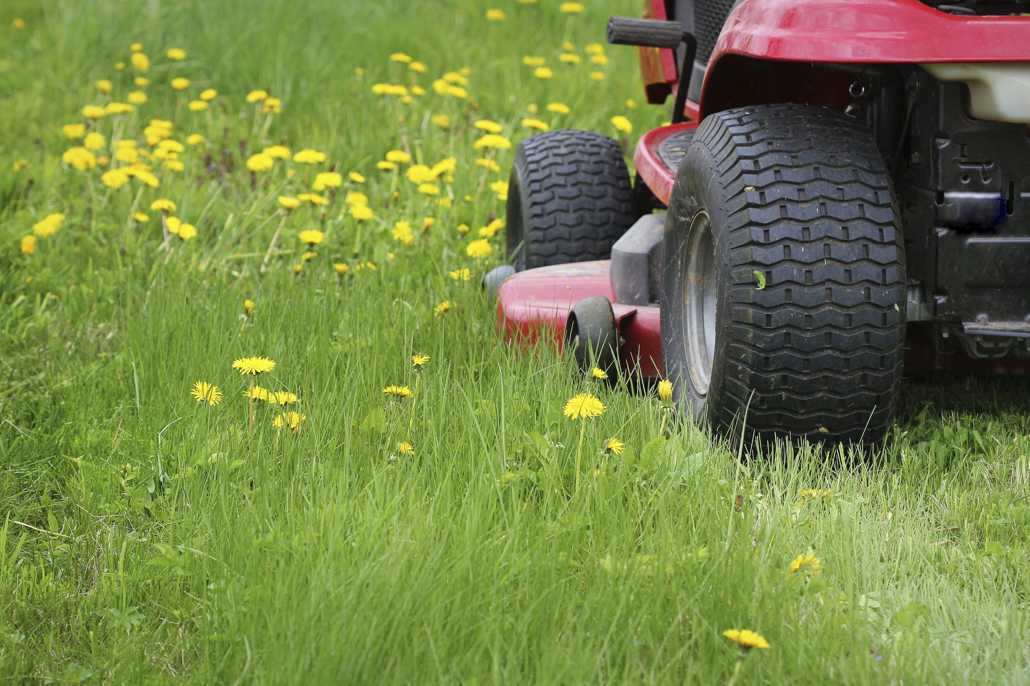 Gardening concept background. Gardener cutting the long grass on a tractor lawn mower