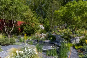 Terrence Higgins Trust Bridge to 2030 Garden at RHS Chelsea Flower Show 2024. Designed by Matthew Childs. Sponsored by Project Giving Back Terrence Higgins Trust Bridge to 2030 Garden at RHS Chelsea Flower Show 2024. Designed by Matthew Childs. Sponsored by Project Giving Back