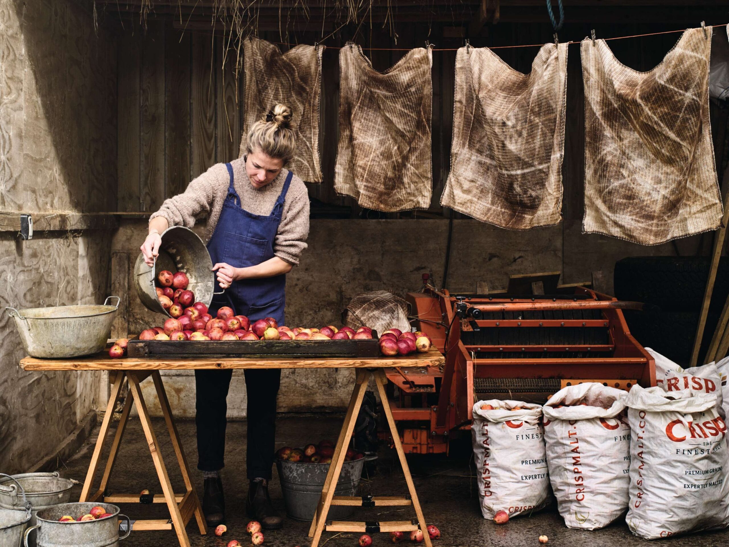 Cider making Somerset