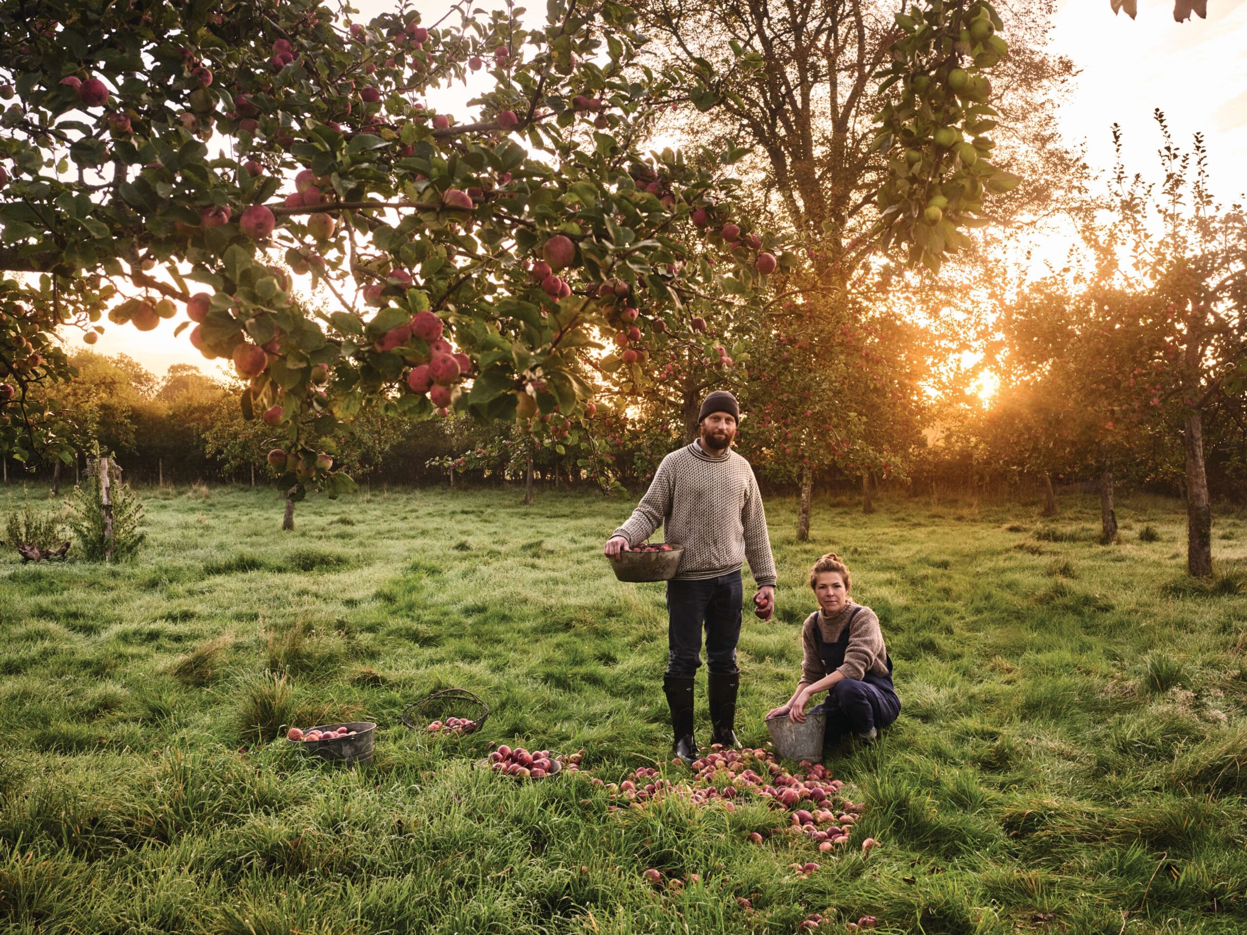 Cider making Somerset