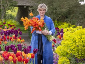 Sarah Raven Sarah Raven carrying a bunch of Tulip 'Ballerina'.