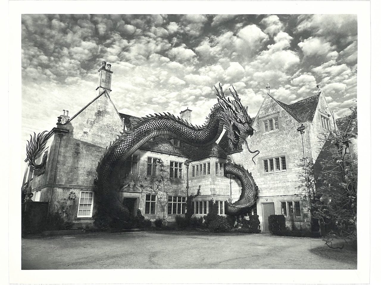 The Dragon of Verdant Hollow