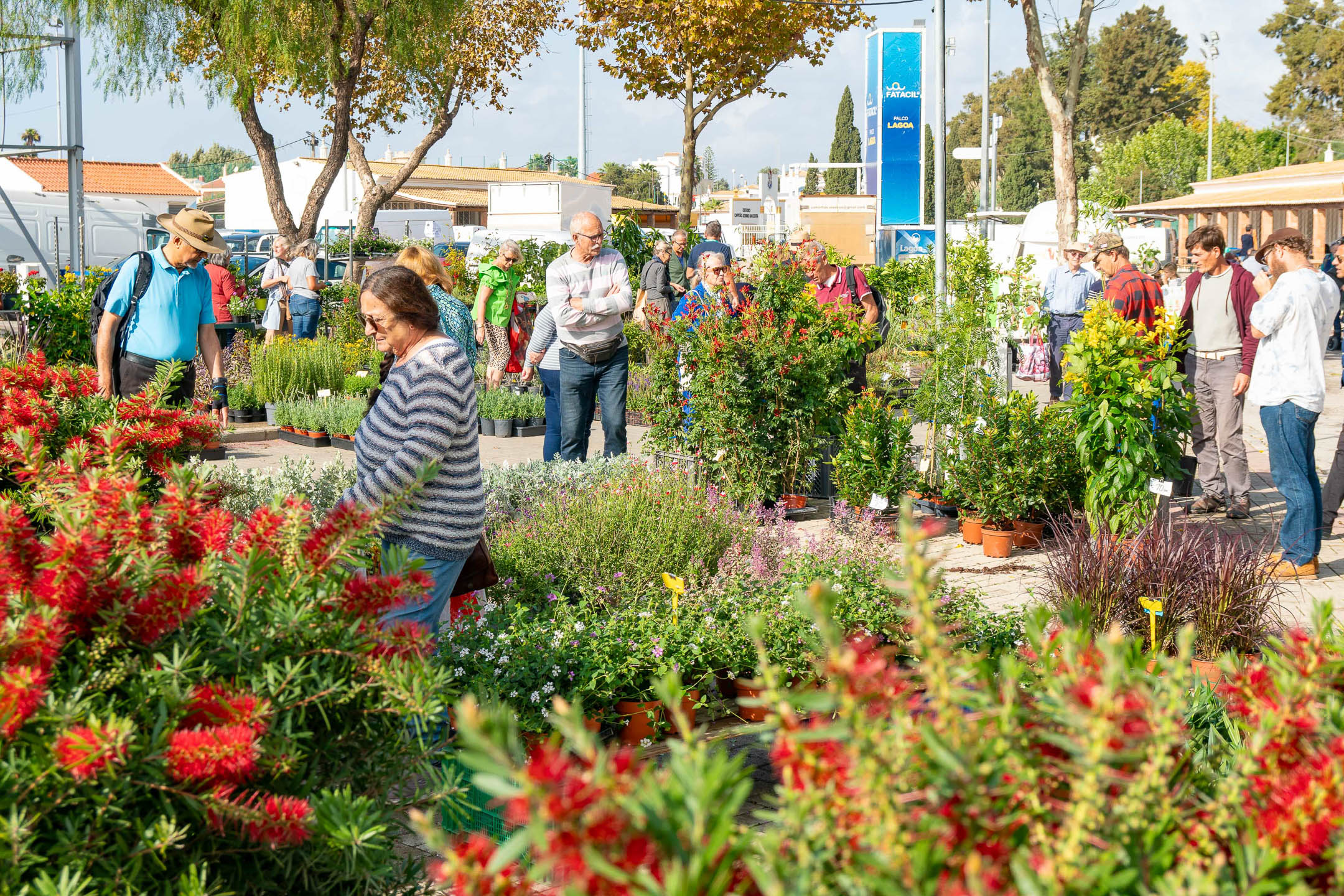 Med Garden Fair
