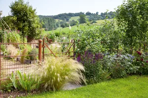 Alison Jenkins' garden Gateway with grasses in Alison Jenkins' garden