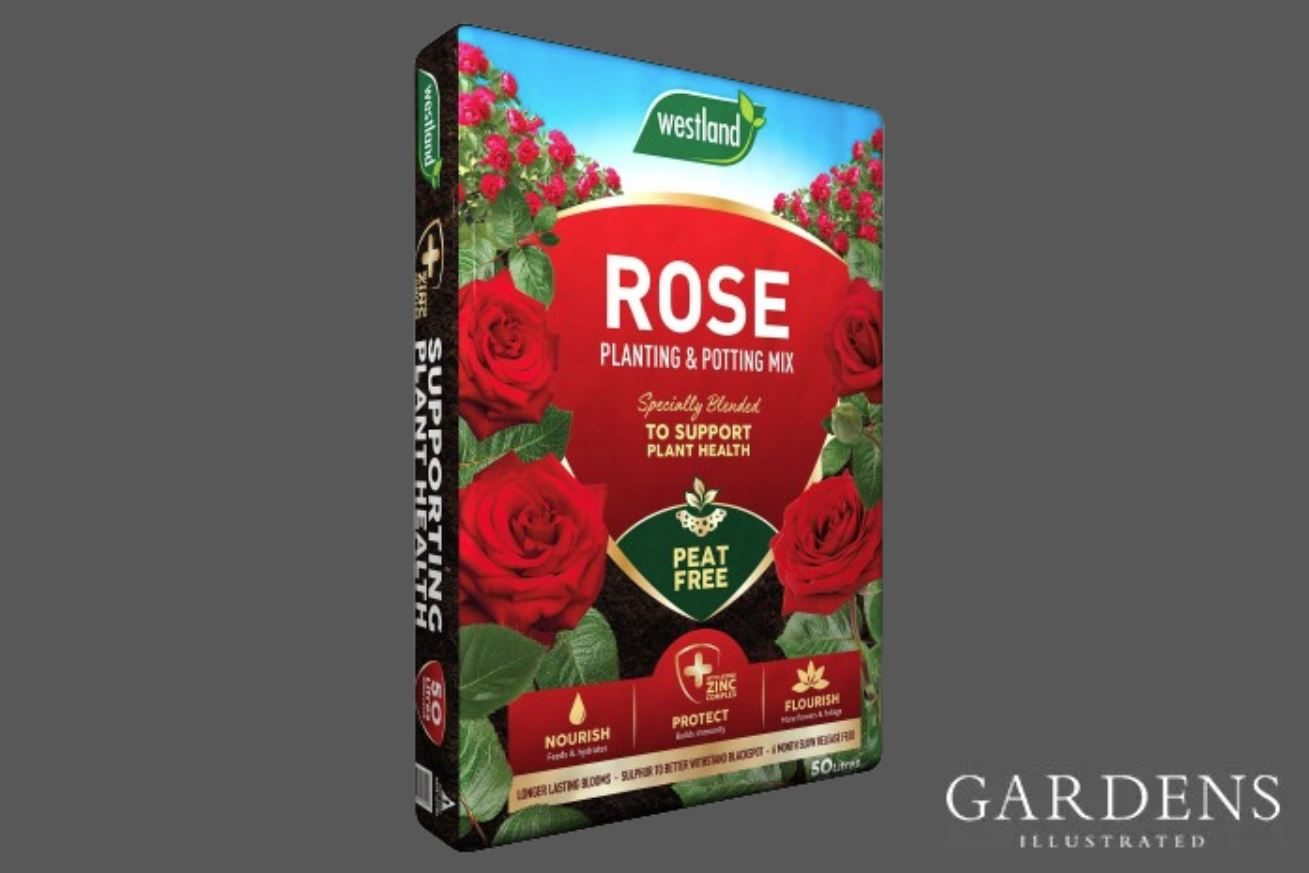 Westland Rose Planting & Potting Mix Compost on a grey background