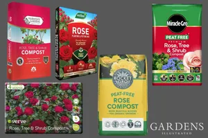 Rose compost Rose compost on a grey background