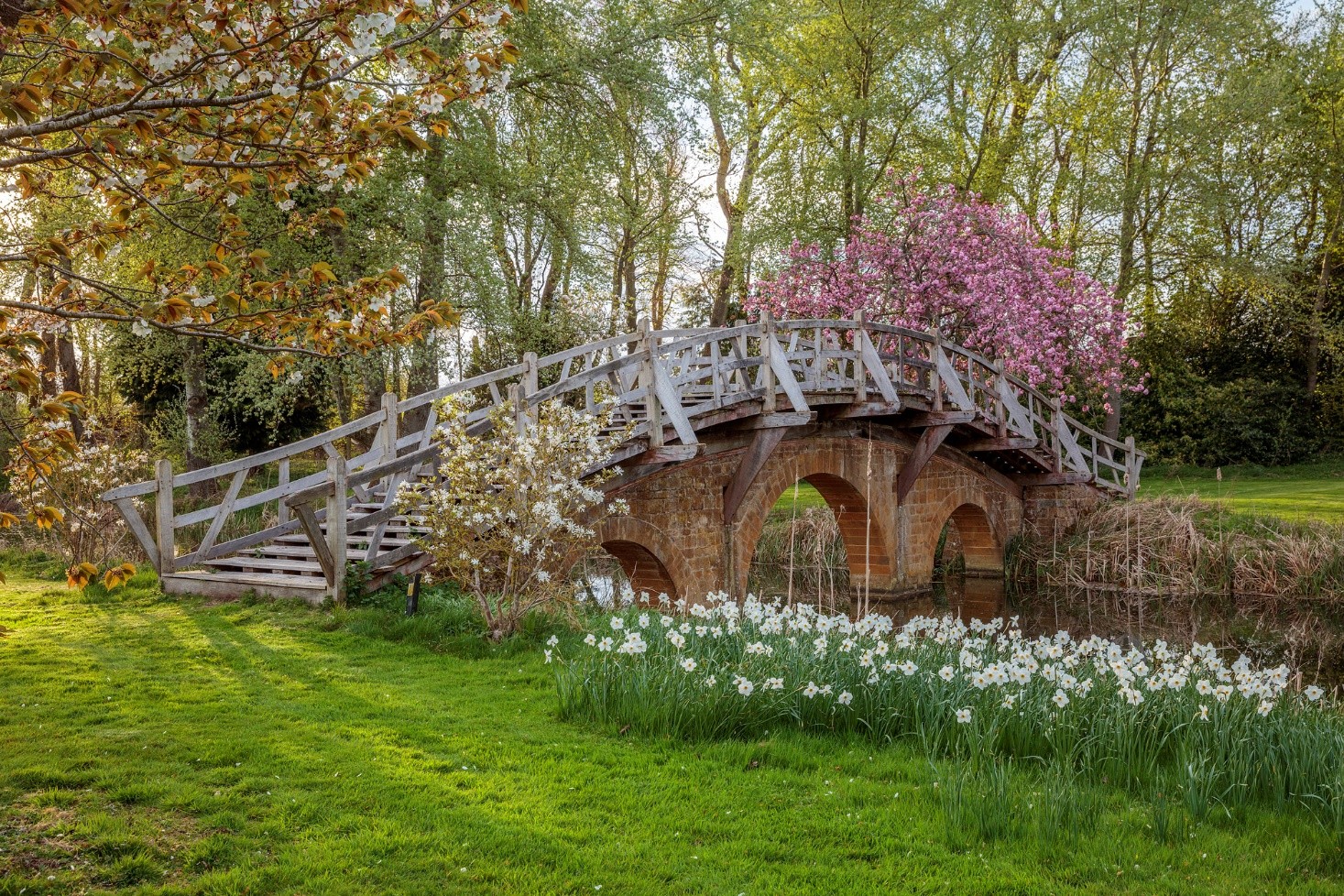 A wooden bridge over a small stream at Ashby Manor House in Warwickshire