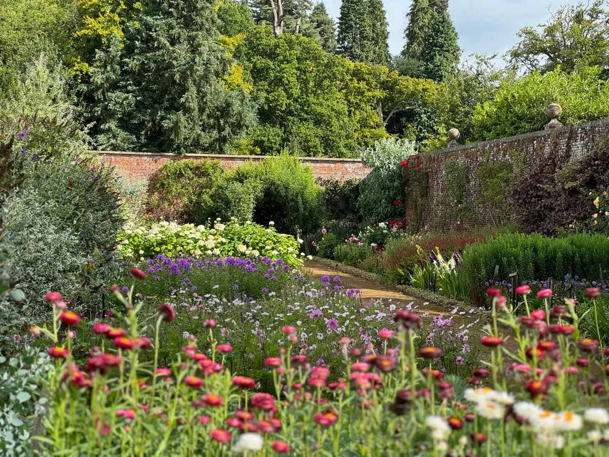Bowood Walled Garden Flowers in Bowood Walled Garden