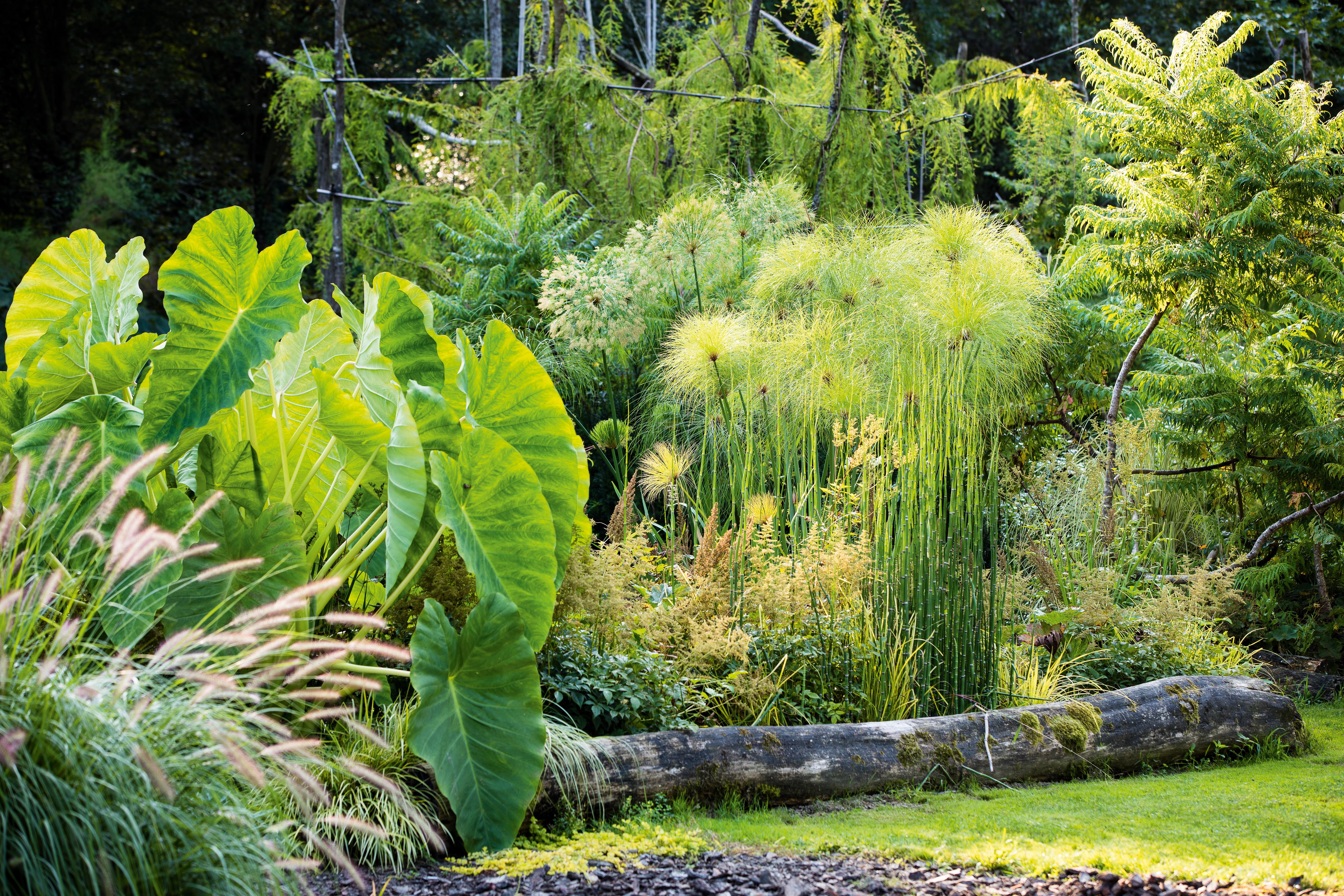 Lur: the garden of Spanish Spanish landscape architecture practice