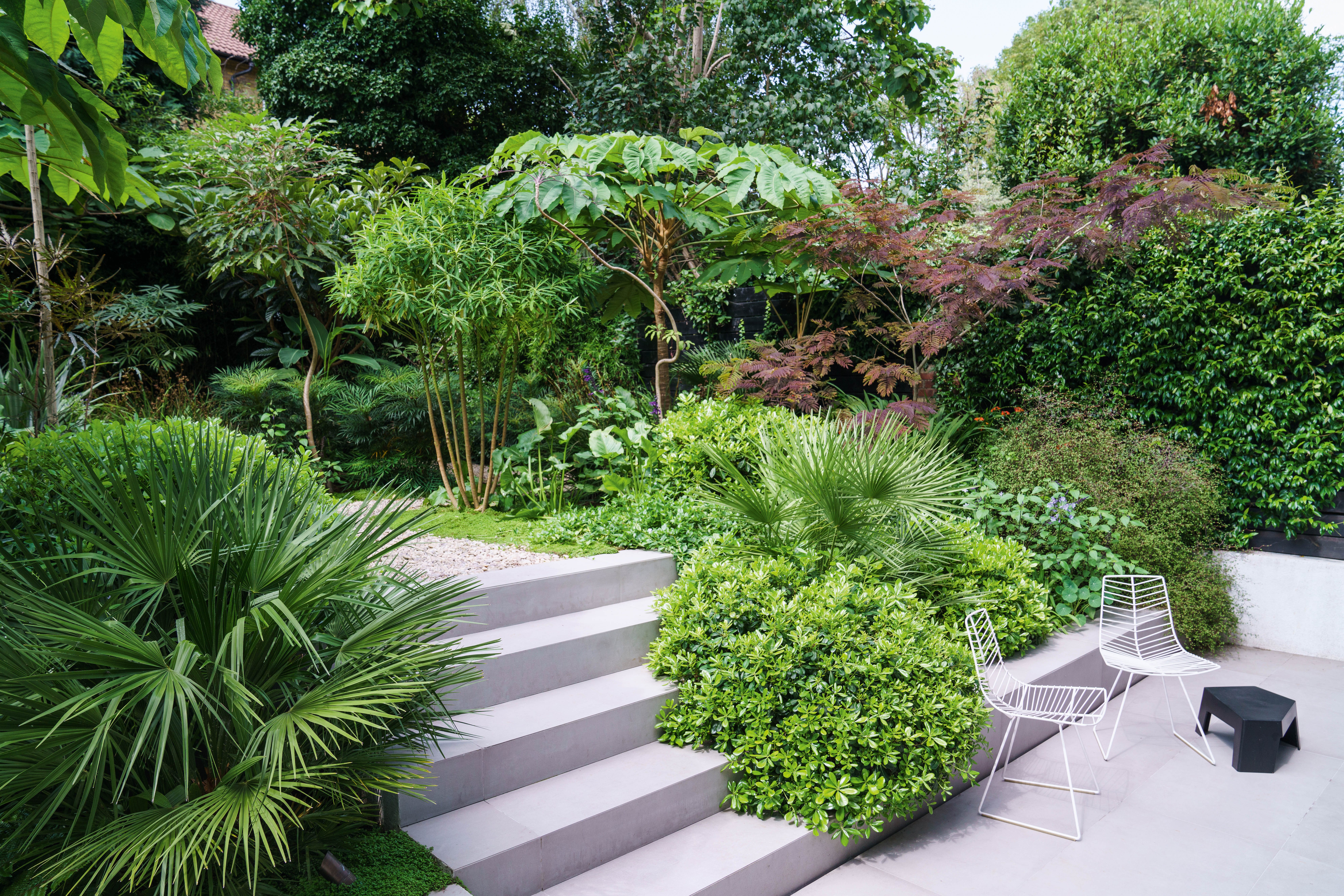 Declan Buckley garden