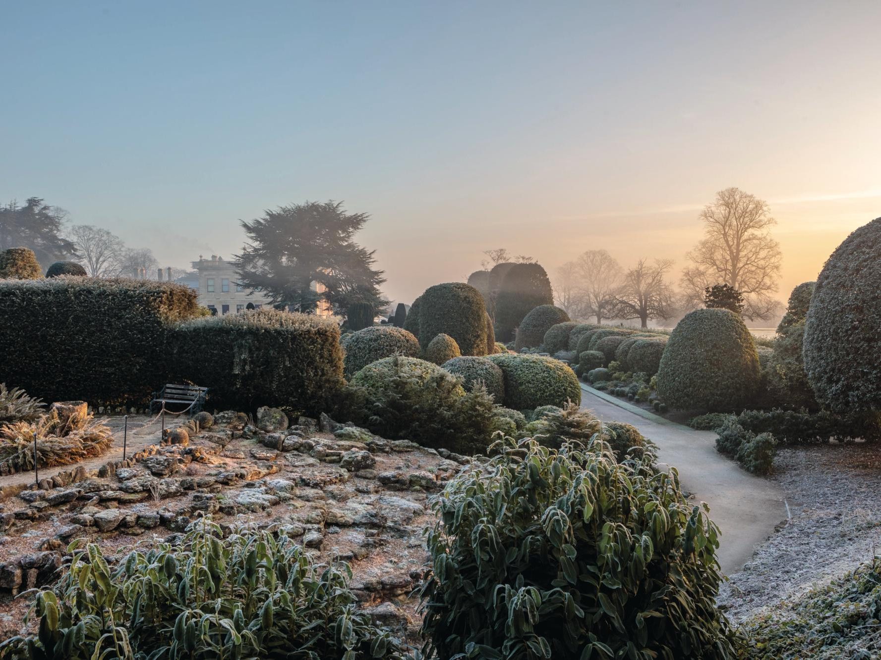 House and garden in winter