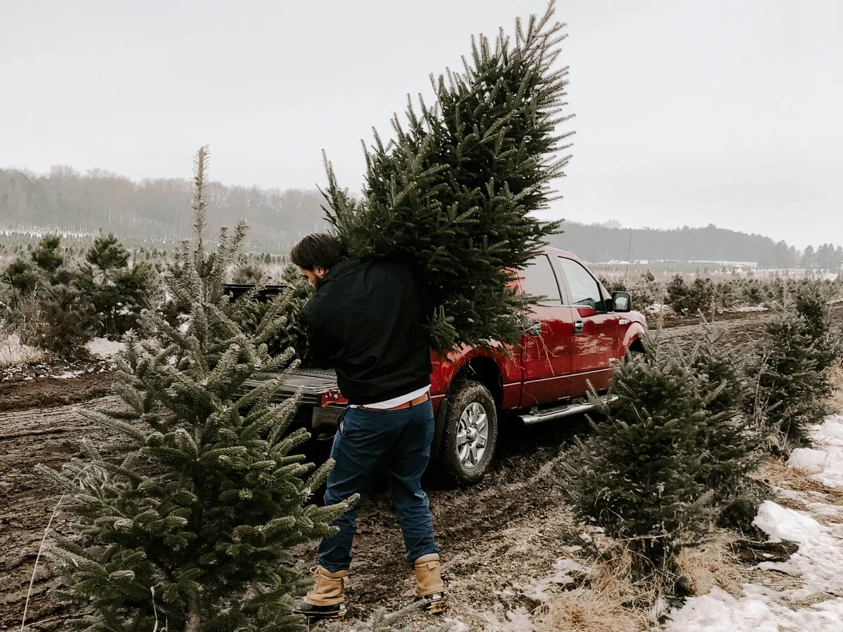Buying a cut Christmas tree © Julianna Arjes / Unsplash Buying a cut Christmas tree © Julianna Arjes / Unsplash