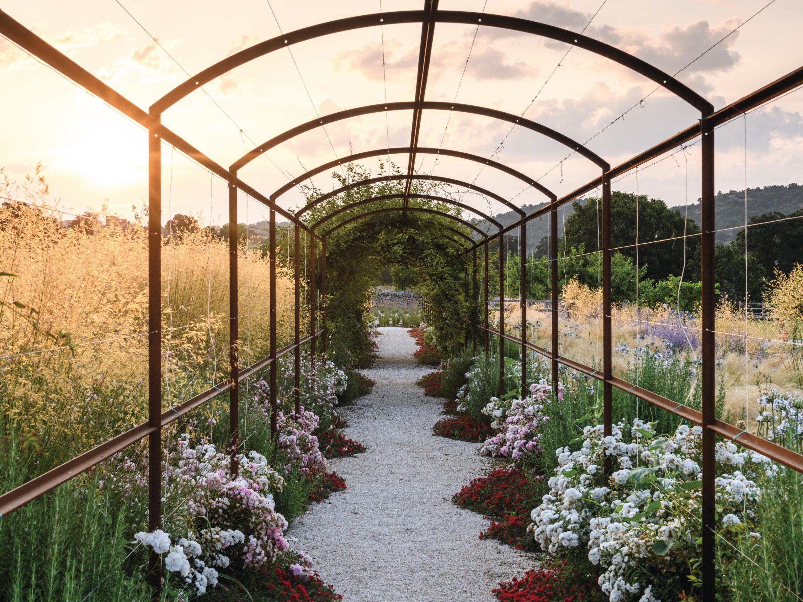 Steel pergola tunnel