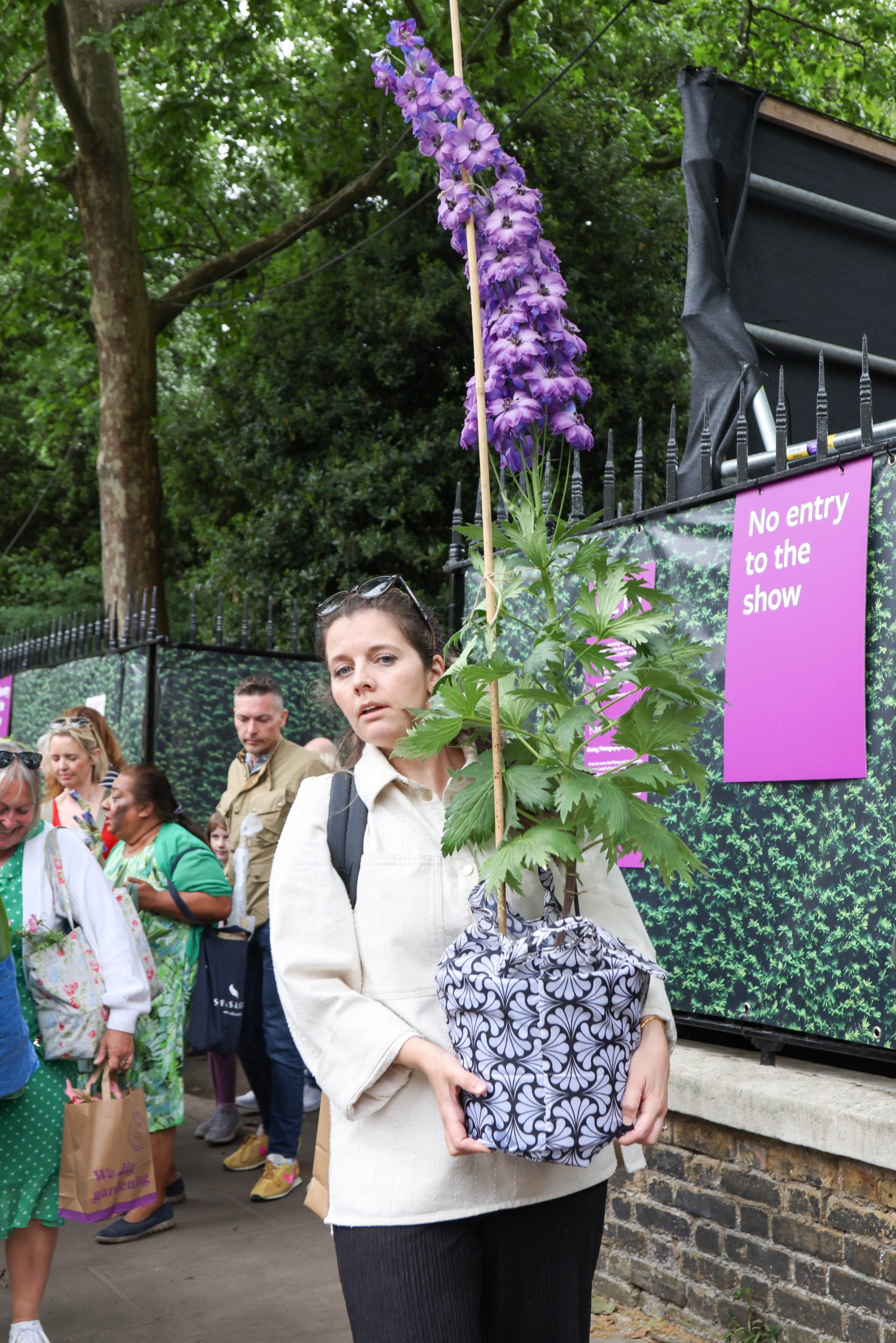 Plants are sold off cheaply on the last day of the Chelsea Flower Show