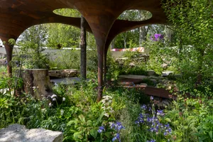 The WaterAid Garden. Designed by Tom Massey and Je Ahn. Sponsored by Project Giving Back. In support of WaterAid. Show Garden. https://ngs.org.uk/ RHS Chelsea Flower Show 2024Show Garden. RHS Chelsea Flower Show 2024. Site no.323 The WaterAid Garden. Designed by Tom Massey and Je Ahn at RHS Chelsea Flower Show 2024.