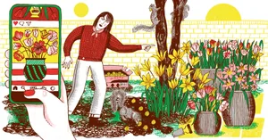 Alice Vincent's column, illustrated by Alice Pattulo Alice Vincent's column, illustrated by Alice Pattulo
