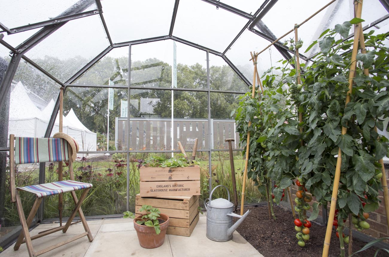 Hartley Botanic Greenhouses Vintage V&N Hartley semi dodecagon Greenhouse - Chelsea Flower Show 2021 interior