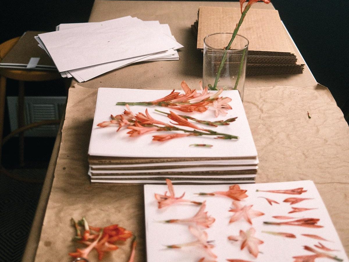 Pressed flowers