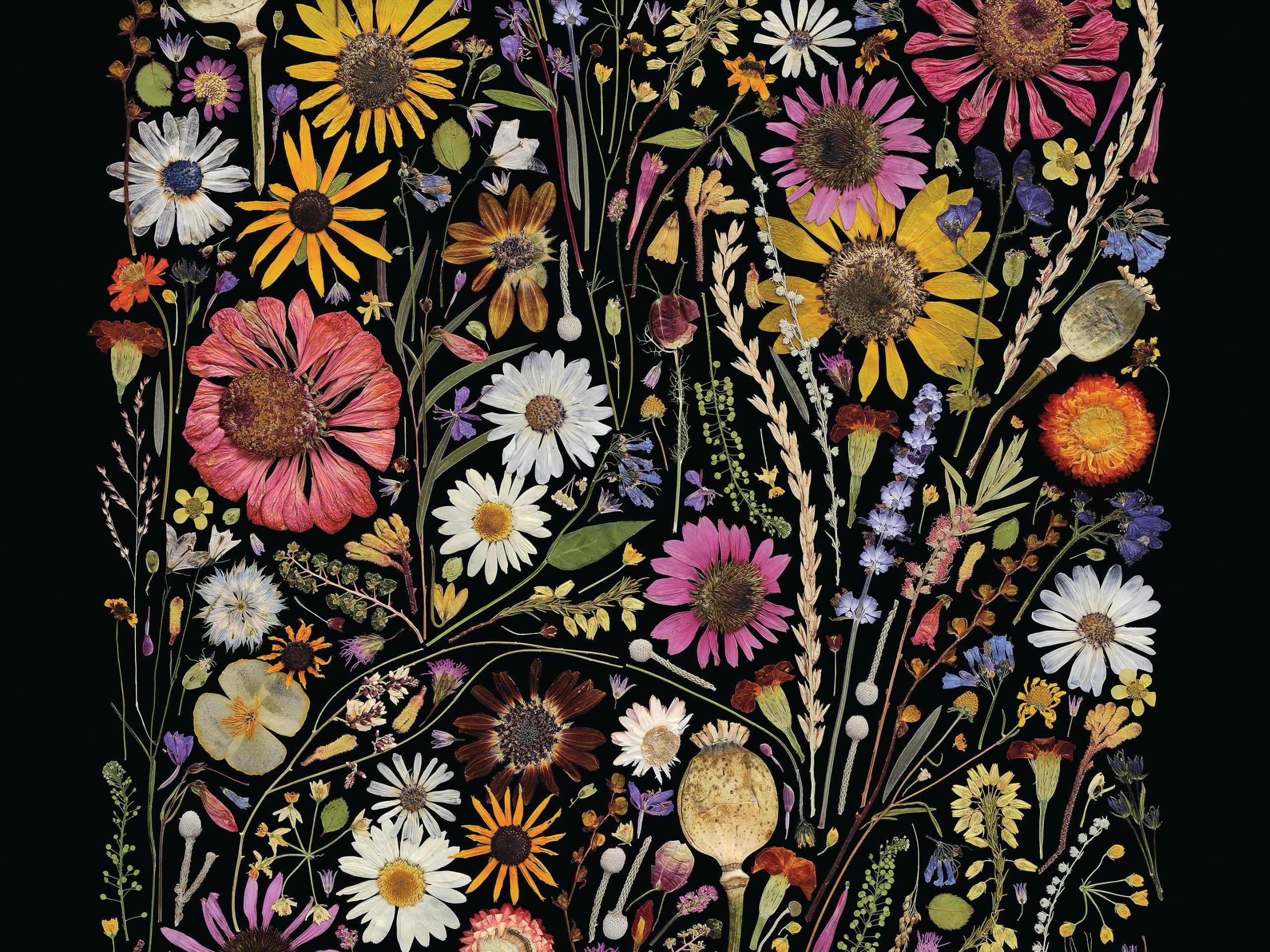 Pressed flower art