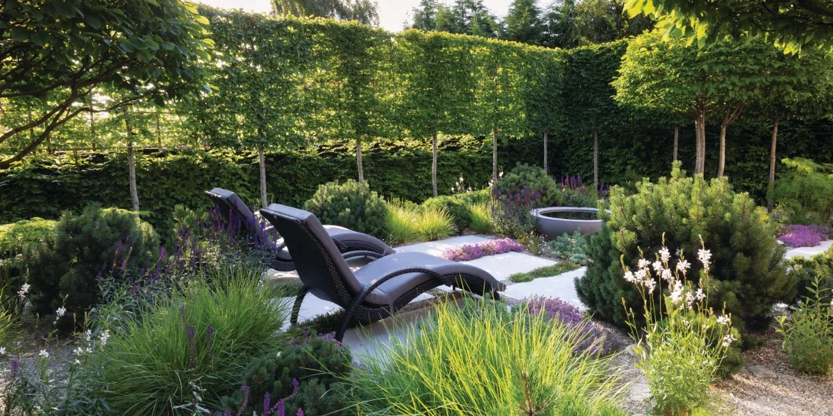 Garden screening hero Garden with hedging