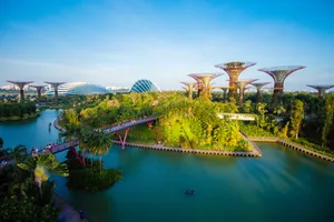 The gardens’ towering ‘supertrees’ make it a unique place to visit. Credit: Gardens by the Bay The gardens’ towering ‘supertrees’ make it a unique place to visit. Credit: Gardens by the Bay