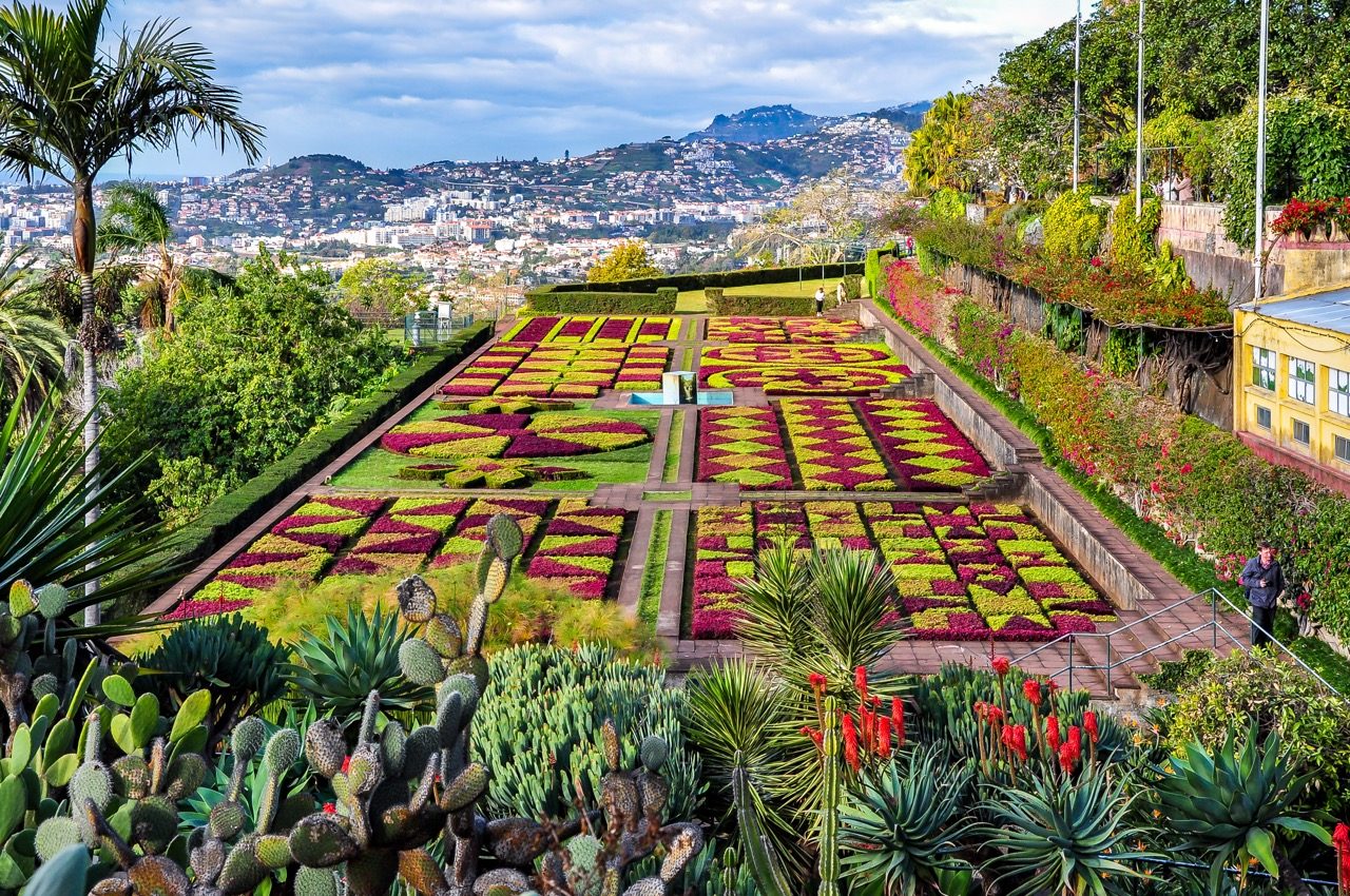 Visit Madeira Botanical Gardens for its colourful planting and beautiful views. Credit: Getty / FevreDream
