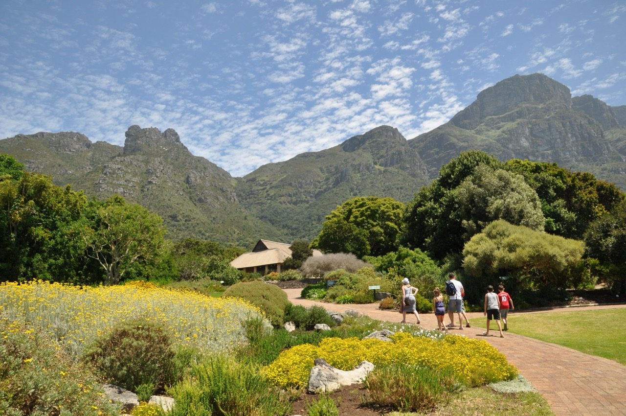 Kirstenbosch’s summer peninsula garden has views of the surrounding mountains. Credit: Alice Notten, Kirstenbosch NBG