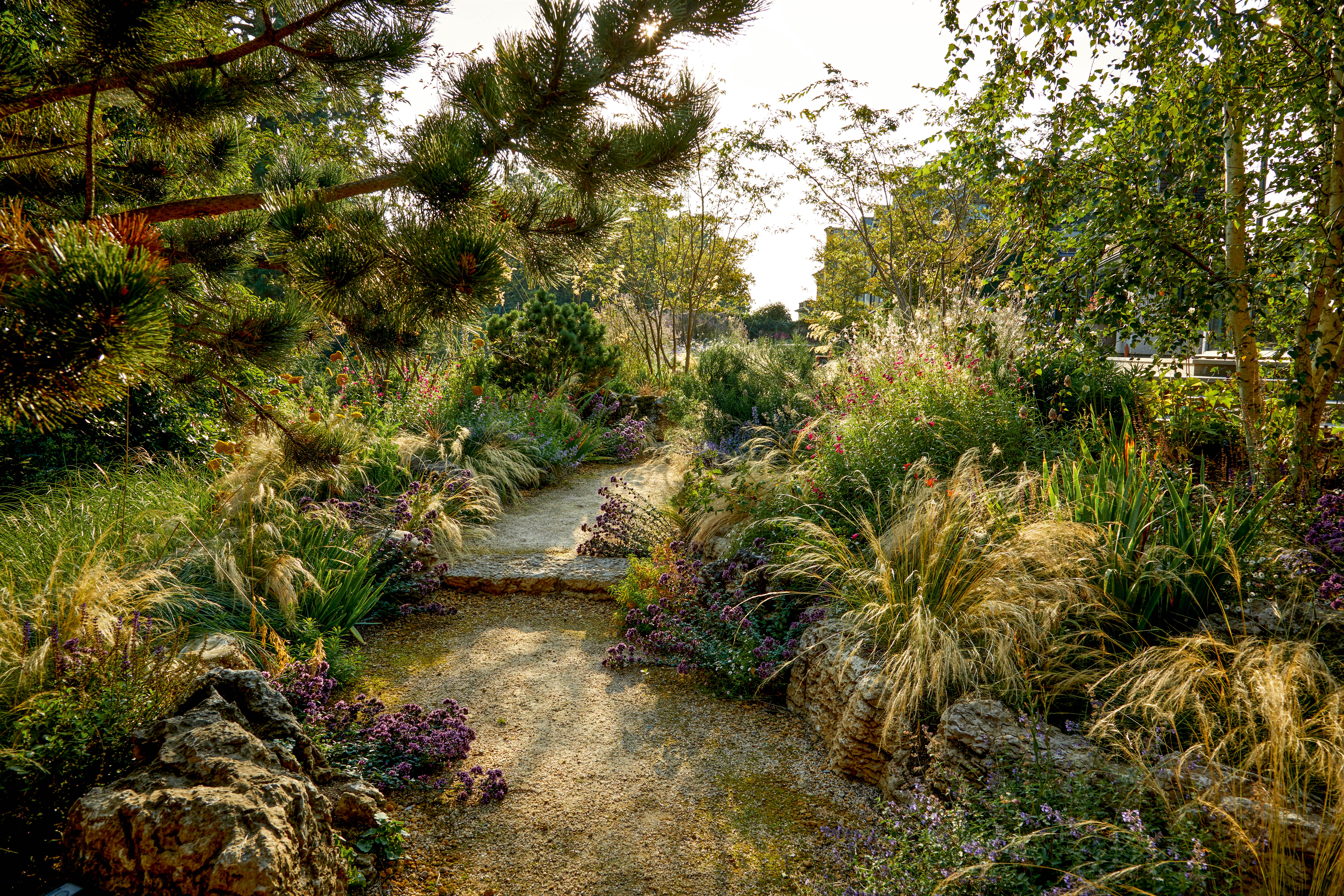 Surrey garden by Matthew Childs