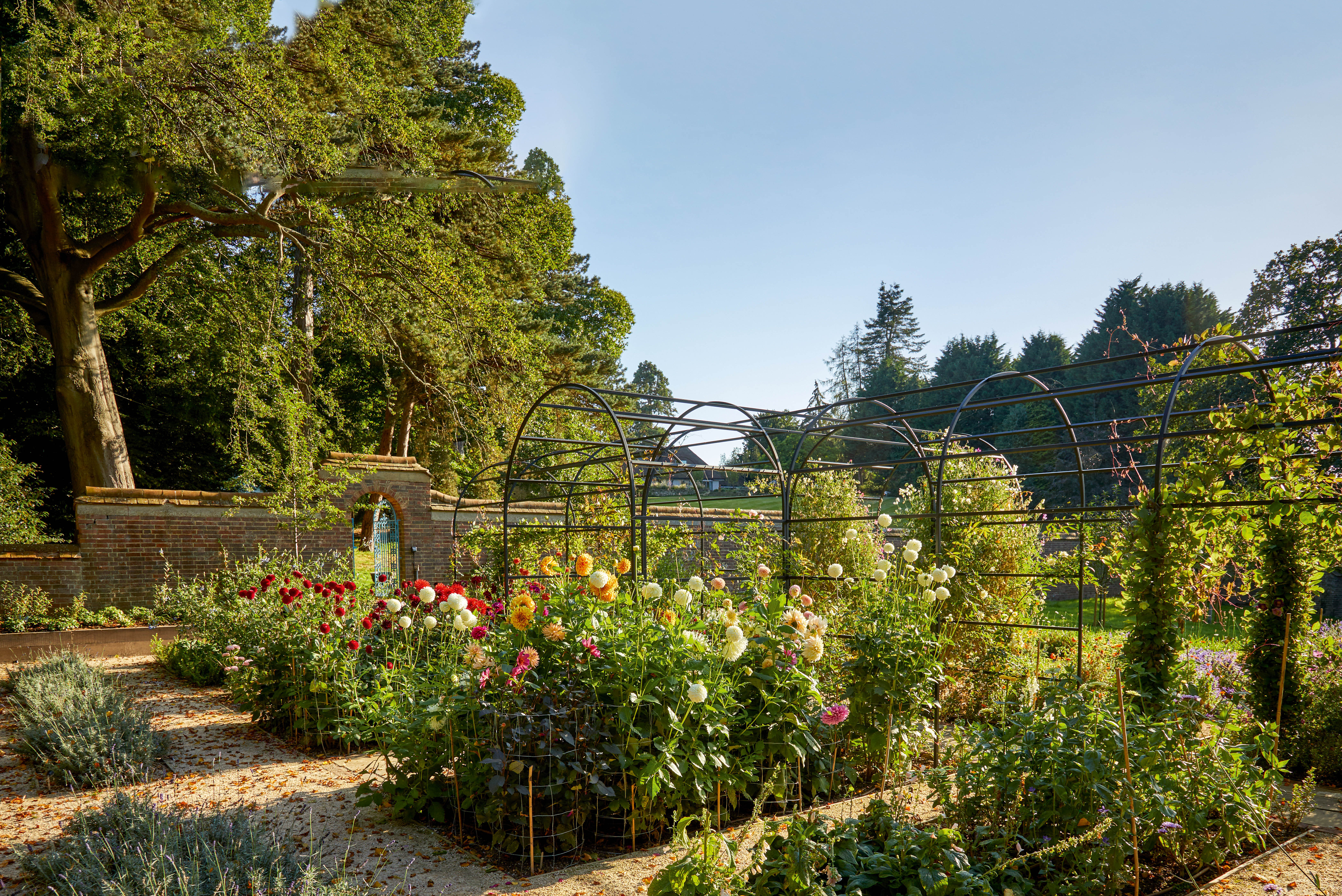 Surrey garden by Matthew Childs
