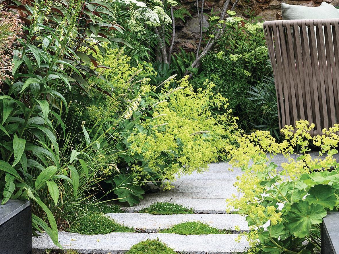 Harley Mews: a lush small Bristol garden