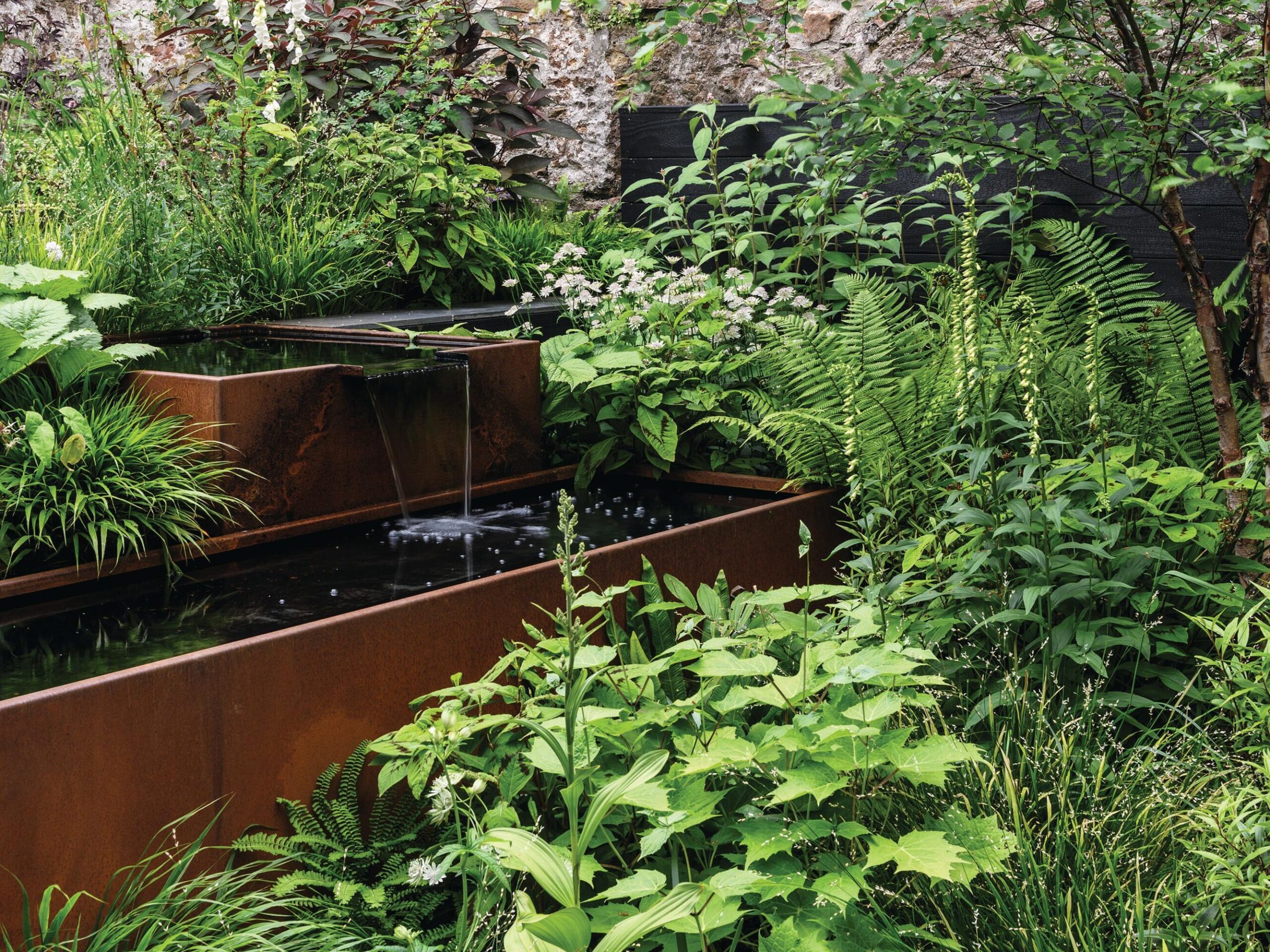 Harley Mews: a lush small Bristol garden