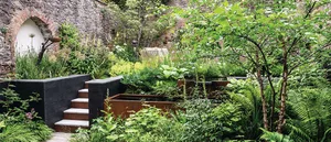 Harley Mews: a lush small Bristol garden Harley Mews: a lush small Bristol garden