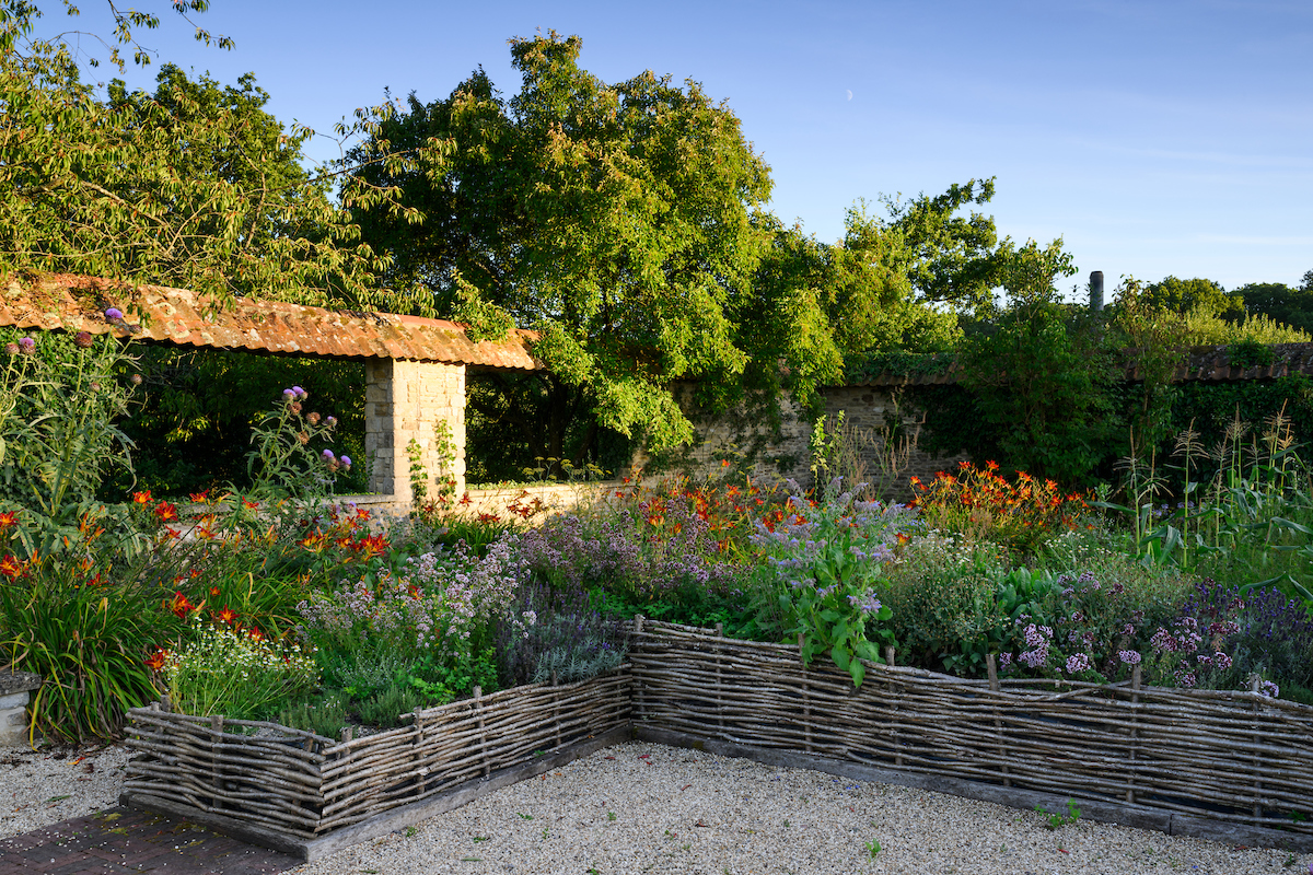 Edibles growing in raised beds of woven hazel hurdles at 42 Acres in Somerset © Jason Ingram