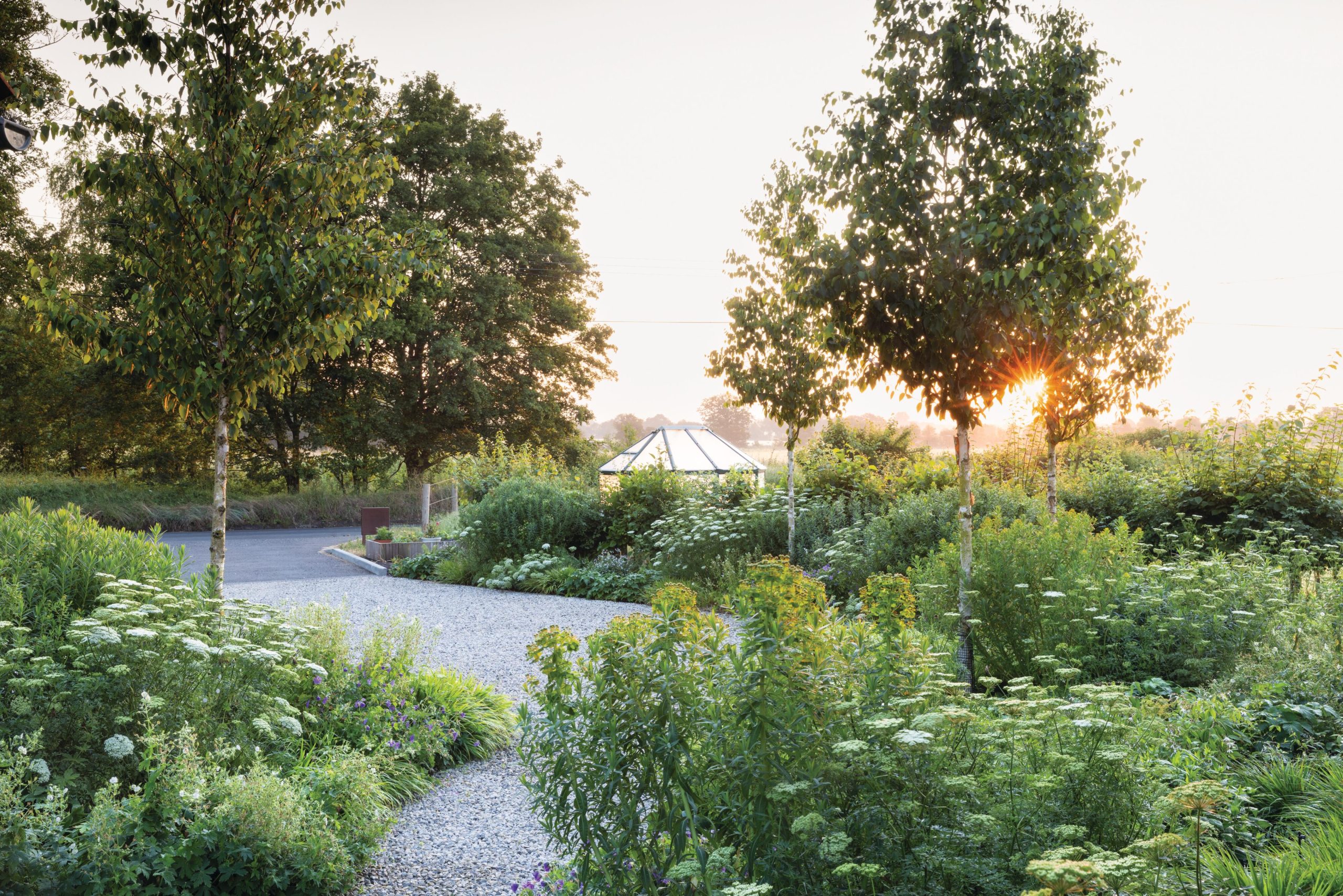 Pathway in a garden