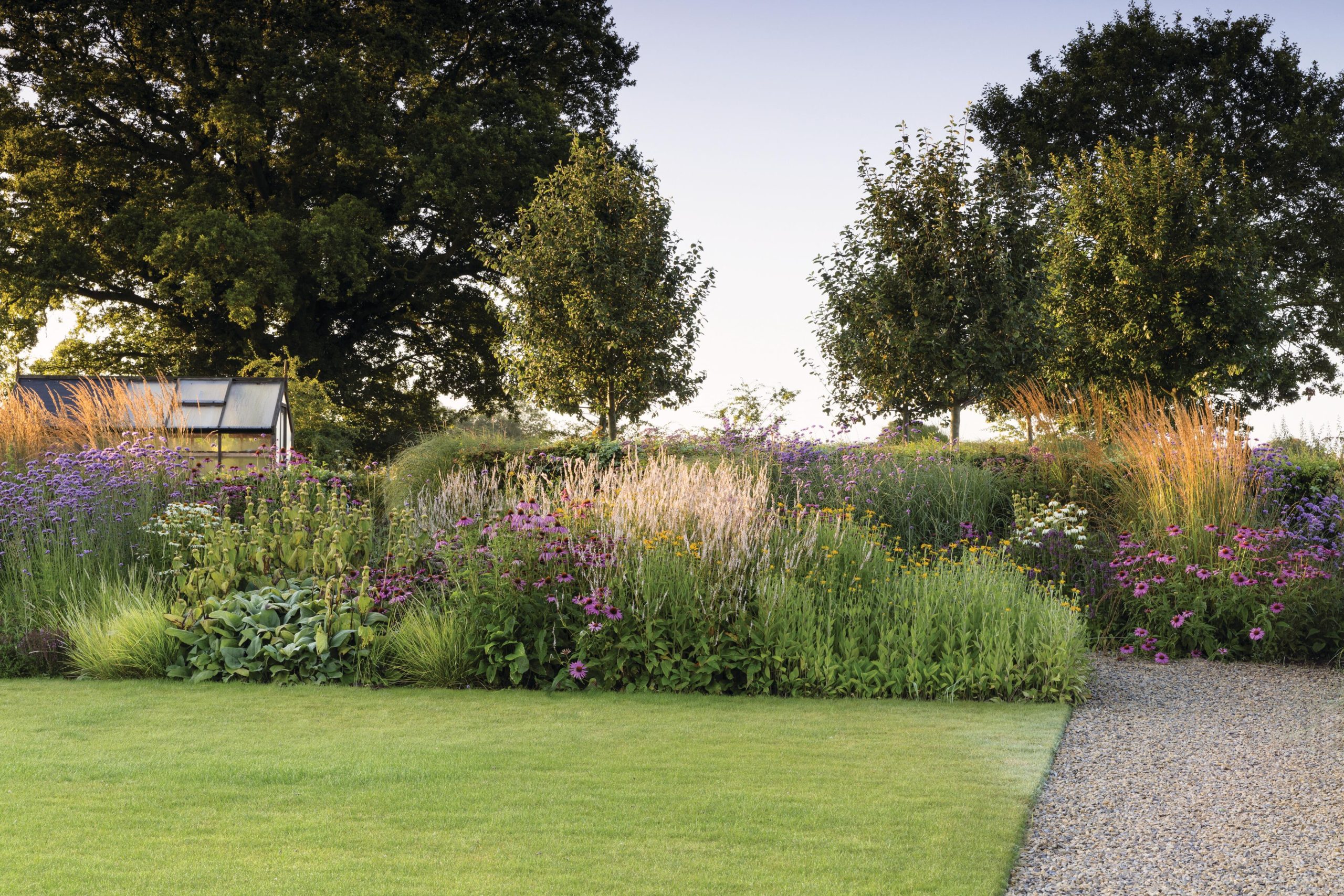 Garden with a lawn