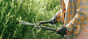 Man using shears Man using shears