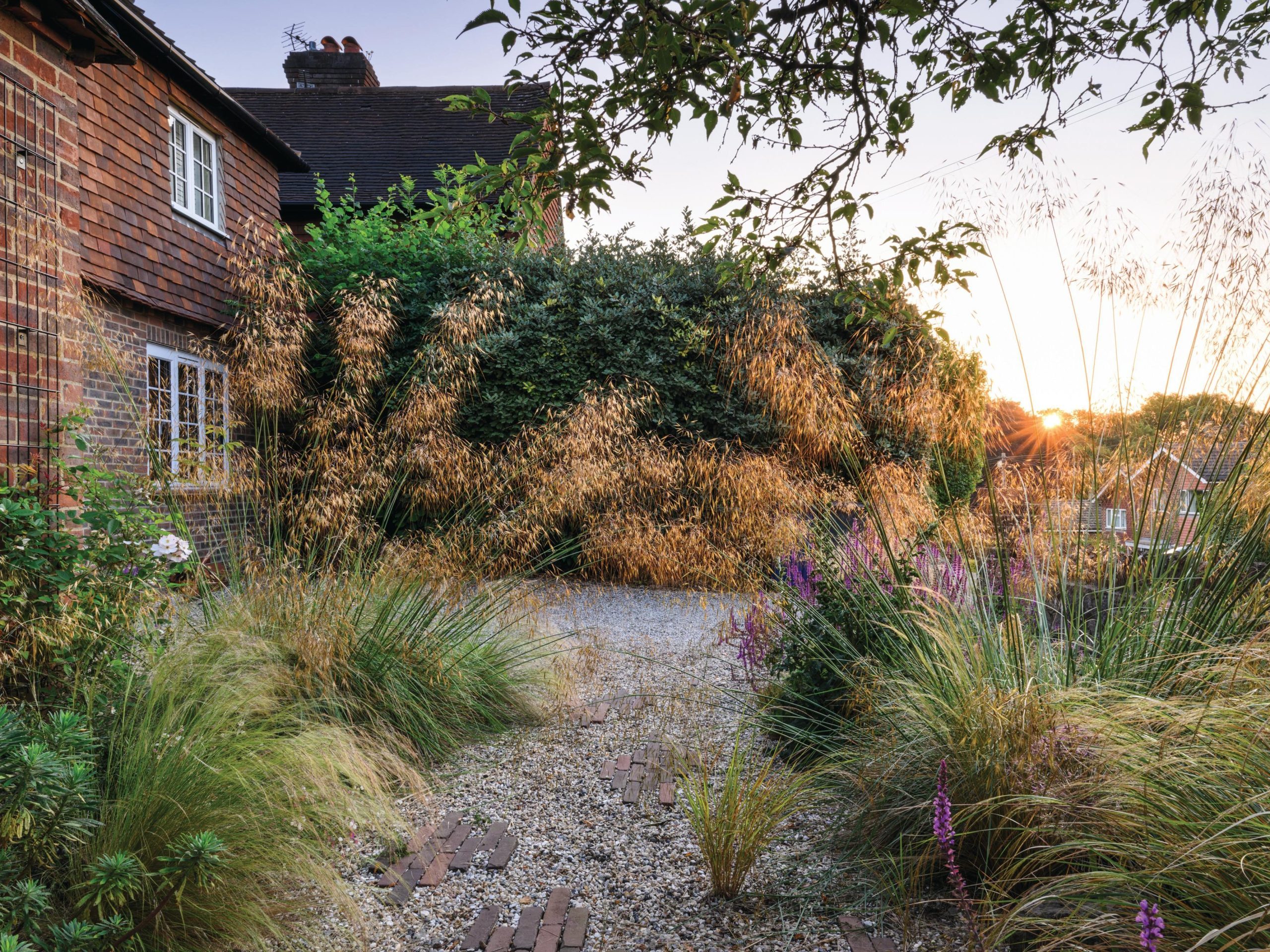 House and garden