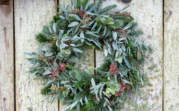 Mixed eucalyptus and green pine Christmas wreath from Sarah Raven 