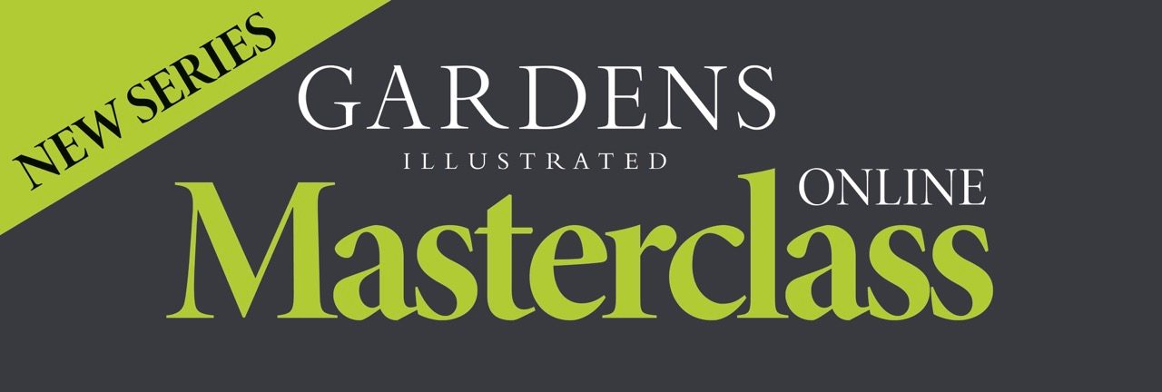 Masterclass web banner