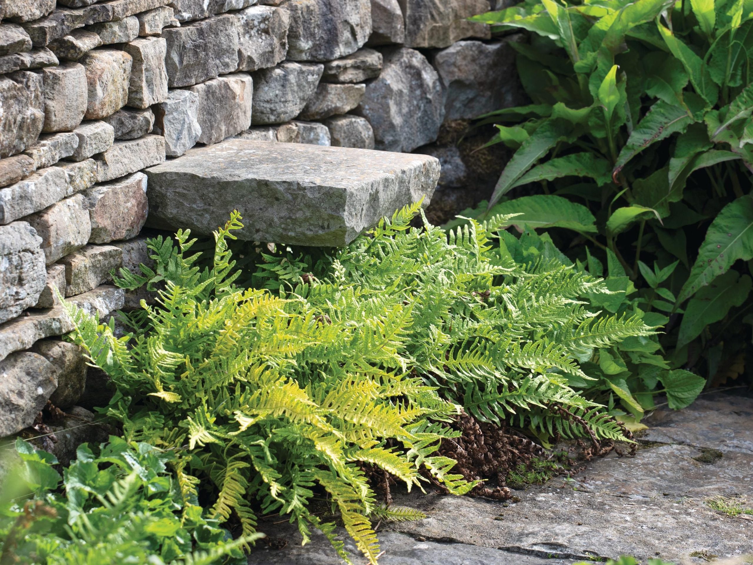 Stone wall with seat