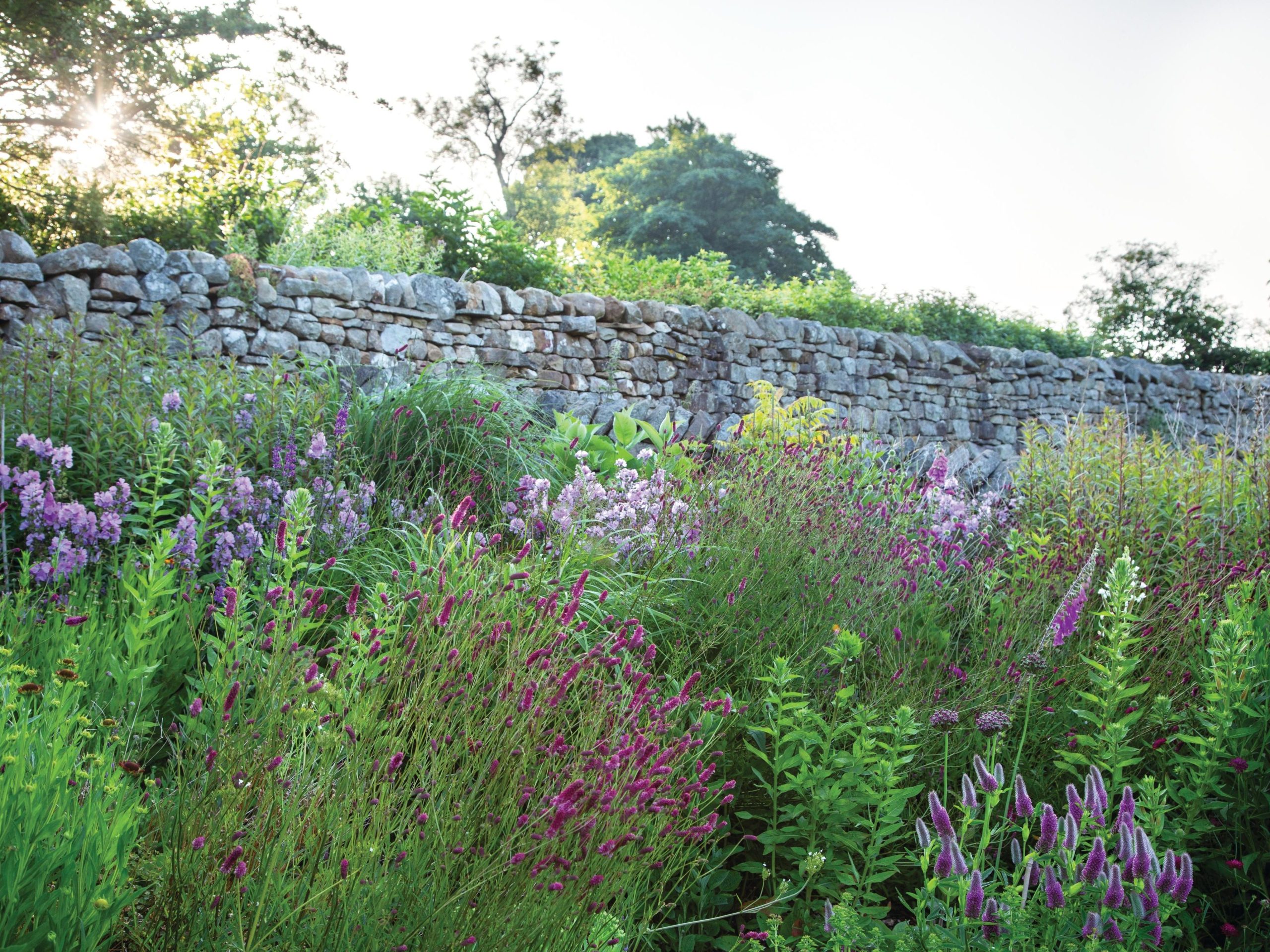 Gardene stone wall and flowers in bloom