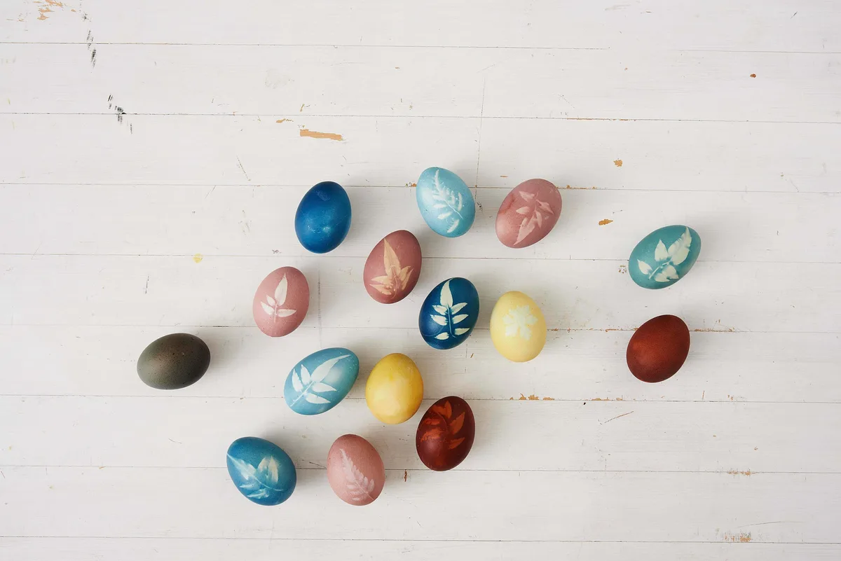 Make botanical patterns on eggs for Easter Make botanical patterns on eggs for Easter