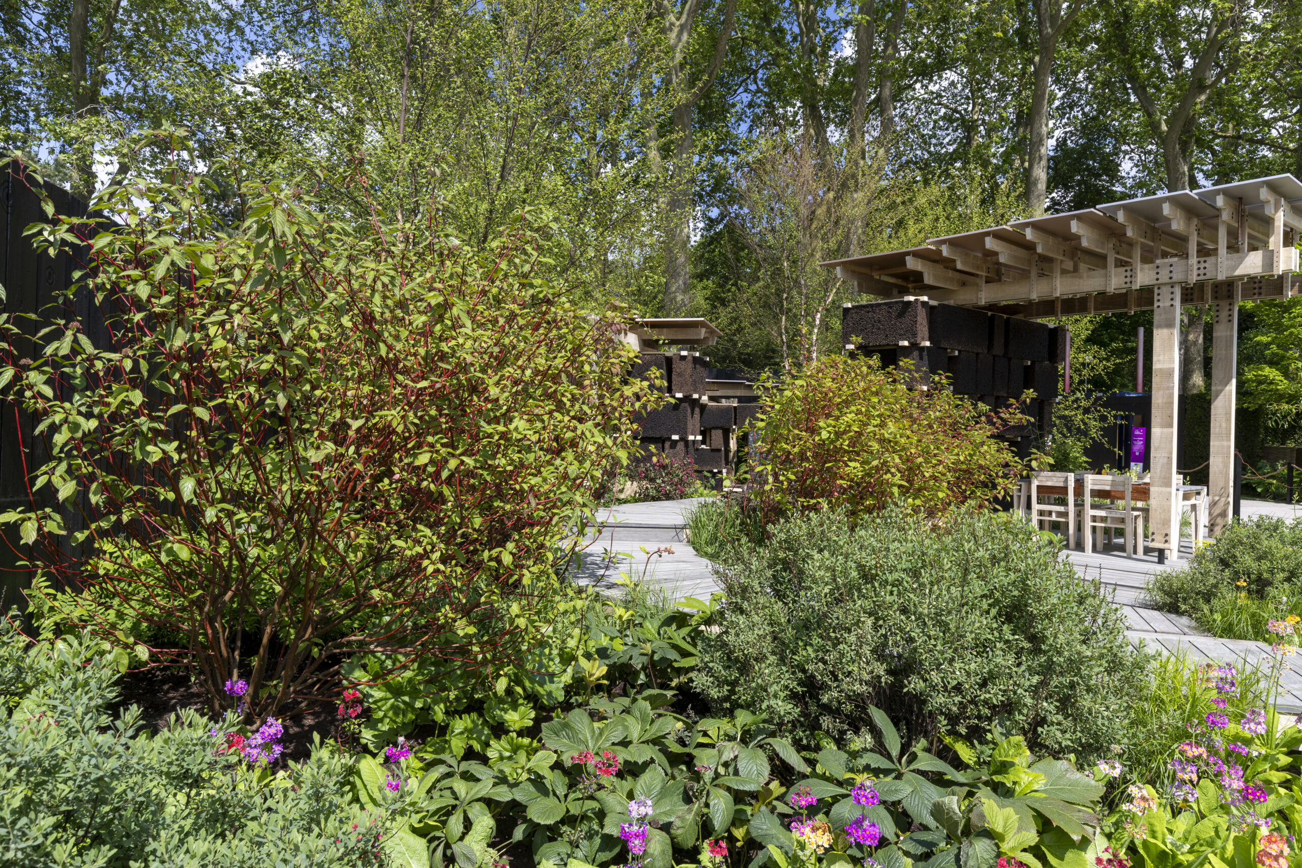 The National Autistic Society Garden at RHS Chelsea Flower Show 2024. Designed by Sophie Parmenter and Dido Milne. Sponsored by Project Giving Back.