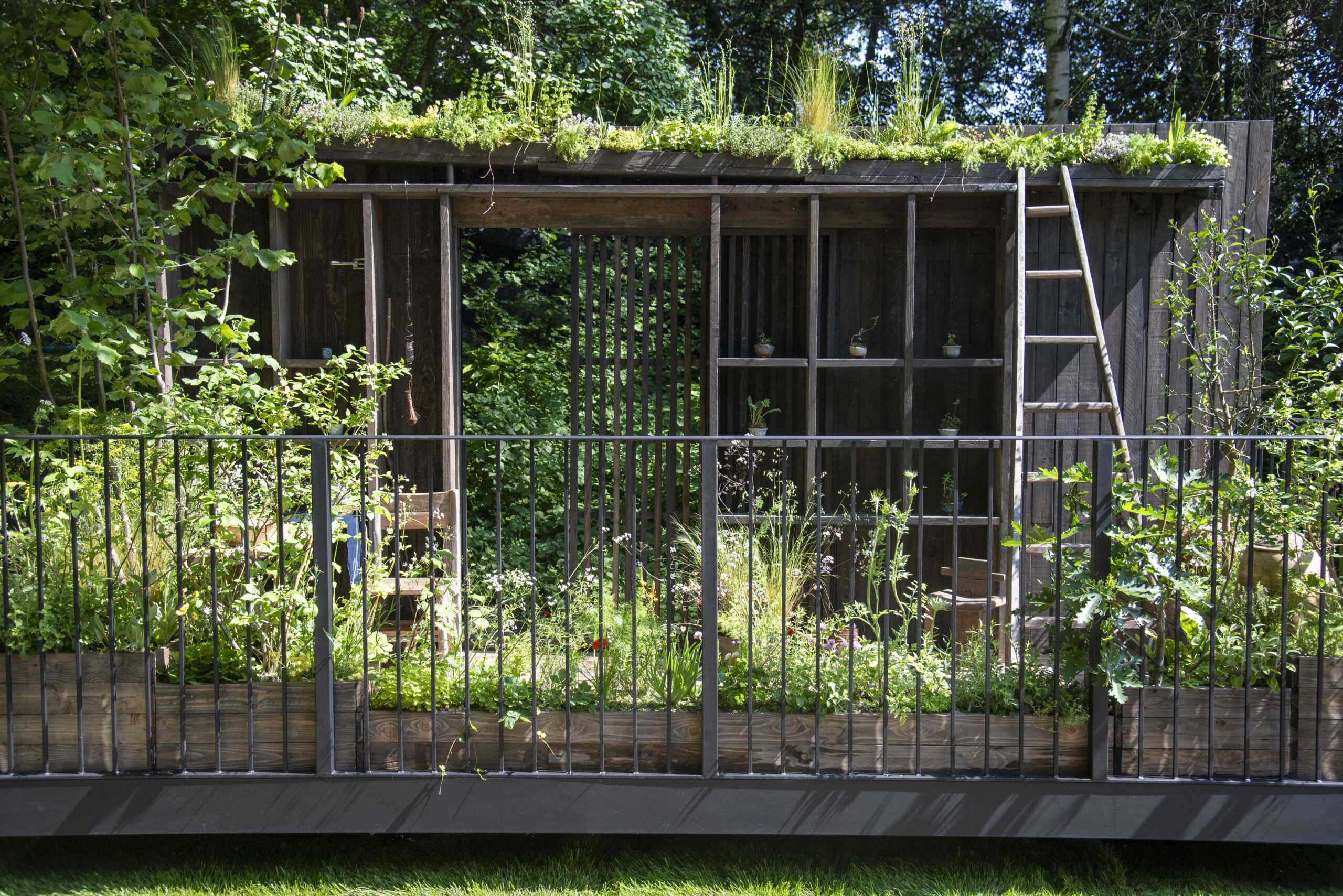 Tomie’s Cuisine the Nobonsai at RHS Chelsea Flower Show. Designed by Tsuyako Asada. Sponsored by Tomie’s Cuisine, Takehiro Niwaki and Alice Gar Design. Balcony Garden.