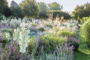 Low-maintenance plantings, designed to work together ecologically are a key aspect of trial garden Sichtungsgarten Weihenstephan in Freising, Germany, which is one of 27 gardens featured in The Botanic Garden by Ambra Edwards, Sichtungsgarten Weihenstephan in Freising
